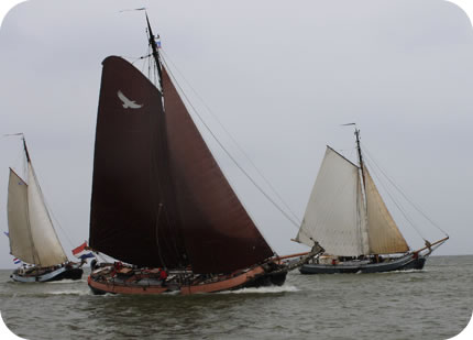 zeilen op de Waddenzee met de Arend